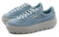 PUMA Platform Trace