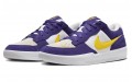 Nike SB Force 58