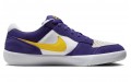 Nike SB Force 58