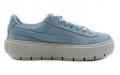 PUMA Platform Trace