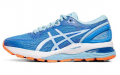 Asics GEL-Nimbus 21