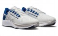 Nike TOTO College Air Zoom Pegasus 38 "Kentucky"