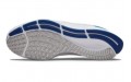 Nike TOTO College Air Zoom Pegasus 38 "Kentucky"