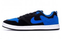 Nike SB Alleyoop Royal