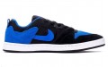 Nike SB Alleyoop Royal