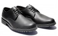 Timberland Stormbucks Oxford