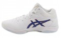 Asics Gel-Hoop V12 3E