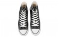 Converse Lea All Star Hi