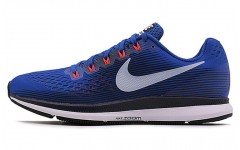 Nike Pegasus 34