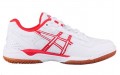 Asics Multicourt