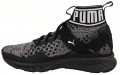 PUMA Ignite evo KNIT