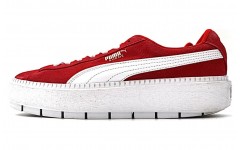 PUMA Platform Trace